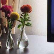 ヒメ日記 2025/10/30 01:04 投稿 ナオ AMOUR（アムール）