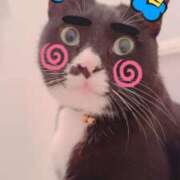 ヒメ日記 2025/11/07 13:43 投稿 ナオ AMOUR（アムール）