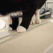 ヒメ日記 2025/11/12 09:06 投稿 ナオ AMOUR（アムール）