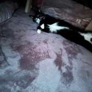 ヒメ日記 2025/11/13 13:49 投稿 ナオ AMOUR（アムール）