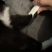 ヒメ日記 2025/12/19 21:02 投稿 ナオ AMOUR（アムール）