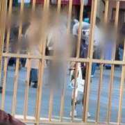 ヒメ日記 2025/12/26 22:56 投稿 ナオ AMOUR（アムール）