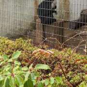 ヒメ日記 2025/12/28 19:06 投稿 ナオ AMOUR（アムール）