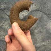 ヒメ日記 2025/12/30 21:08 投稿 ナオ AMOUR（アムール）