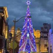 ヒメ日記 2024/12/20 09:24 投稿 レオ AMOUR（アムール）