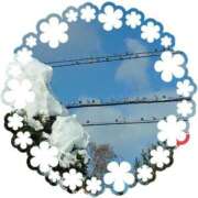 ヒメ日記 2025/01/12 15:52 投稿 有村　めぐみ ソープランド蜜 人妻・美熟女専門店