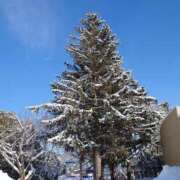 ヒメ日記 2025/02/03 14:42 投稿 有村　めぐみ ソープランド蜜 人妻・美熟女専門店