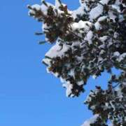 ヒメ日記 2025/02/08 11:42 投稿 有村　めぐみ ソープランド蜜 人妻・美熟女専門店