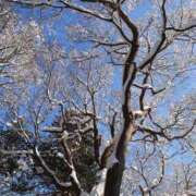 ヒメ日記 2025/02/10 07:32 投稿 有村　めぐみ ソープランド蜜 人妻・美熟女専門店