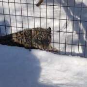 ヒメ日記 2025/02/21 17:52 投稿 有村　めぐみ ソープランド蜜 人妻・美熟女専門店