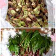 ヒメ日記 2025/04/27 09:42 投稿 有村　めぐみ ソープランド蜜 人妻・美熟女専門店