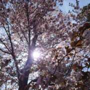 ヒメ日記 2025/05/05 06:52 投稿 有村　めぐみ ソープランド蜜 人妻・美熟女専門店