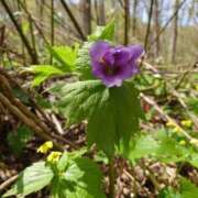 ヒメ日記 2025/05/09 19:03 投稿 有村　めぐみ ソープランド蜜 人妻・美熟女専門店