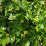 ヒメ日記 2025/05/12 06:02 投稿 有村　めぐみ ソープランド蜜 人妻・美熟女専門店