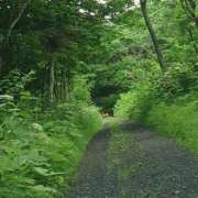 ヒメ日記 2025/06/18 04:32 投稿 有村　めぐみ ソープランド蜜 人妻・美熟女専門店