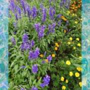 ヒメ日記 2025/09/01 05:42 投稿 有村　めぐみ ソープランド蜜 人妻・美熟女専門店