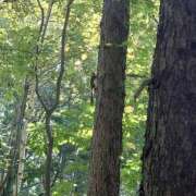 ヒメ日記 2025/09/12 17:22 投稿 有村　めぐみ ソープランド蜜 人妻・美熟女専門店