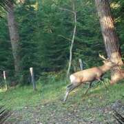 ヒメ日記 2025/10/09 05:12 投稿 有村　めぐみ ソープランド蜜 人妻・美熟女専門店
