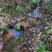 ヒメ日記 2025/10/15 04:32 投稿 有村　めぐみ ソープランド蜜 人妻・美熟女専門店