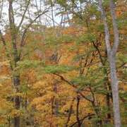 ヒメ日記 2025/10/22 04:43 投稿 有村　めぐみ ソープランド蜜 人妻・美熟女専門店