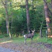 ヒメ日記 2025/10/23 06:22 投稿 有村　めぐみ ソープランド蜜 人妻・美熟女専門店