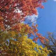 ヒメ日記 2025/10/27 11:22 投稿 有村　めぐみ ソープランド蜜 人妻・美熟女専門店