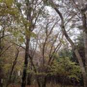 ヒメ日記 2025/11/01 08:12 投稿 有村　めぐみ ソープランド蜜 人妻・美熟女専門店