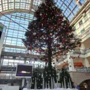 ヒメ日記 2025/12/13 05:22 投稿 有村　めぐみ ソープランド蜜 人妻・美熟女専門店