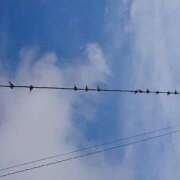 ヒメ日記 2026/01/10 08:12 投稿 有村　めぐみ ソープランド蜜 人妻・美熟女専門店