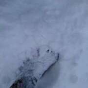 ヒメ日記 2026/01/18 07:42 投稿 有村　めぐみ ソープランド蜜 人妻・美熟女専門店