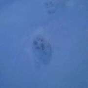 ヒメ日記 2026/01/24 06:52 投稿 有村　めぐみ ソープランド蜜 人妻・美熟女専門店