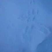 ヒメ日記 2026/02/05 16:02 投稿 有村　めぐみ ソープランド蜜 人妻・美熟女専門店