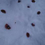 ヒメ日記 2026/02/08 05:32 投稿 有村　めぐみ ソープランド蜜 人妻・美熟女専門店