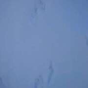 ヒメ日記 2026/02/08 12:52 投稿 有村　めぐみ ソープランド蜜 人妻・美熟女専門店