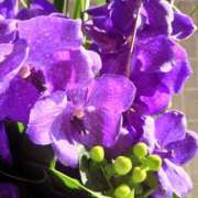 ヒメ日記 2026/02/27 06:12 投稿 有村　めぐみ ソープランド蜜 人妻・美熟女専門店