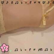 ヒメ日記 2026/06/29 08:32 投稿 有村　めぐみ ソープランド蜜 人妻・美熟女専門店