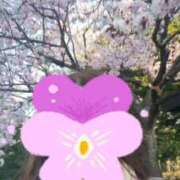 ヒメ日記 2026/04/24 13:12 投稿 天野　まい ソープランド蜜 人妻・美熟女専門店