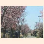 ヒメ日記 2025/04/26 10:39 投稿 相葉　くれあ ソープランド蜜 人妻・美熟女専門店