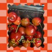 ヒメ日記 2025/07/20 15:22 投稿 相葉　くれあ ソープランド蜜 人妻・美熟女専門店