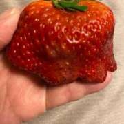 ヒメ日記 2026/02/25 09:45 投稿 相葉　くれあ ソープランド蜜 人妻・美熟女専門店