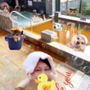 ヒメ日記 2025/06/07 20:02 投稿 舞川　りお ソープランド蜜 人妻・美熟女専門店