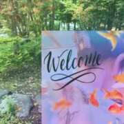 ヒメ日記 2025/07/01 17:32 投稿 舞川　りお ソープランド蜜 人妻・美熟女専門店