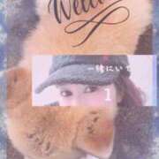 ヒメ日記 2026/02/17 17:22 投稿 舞川　りお ソープランド蜜 人妻・美熟女専門店