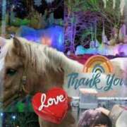 舞川　りお 日高の馬𓃗の旦那様 ソープランド蜜 人妻・美熟女専門店