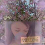 ヒメ日記 2026/03/09 20:52 投稿 舞川　りお ソープランド蜜 人妻・美熟女専門店