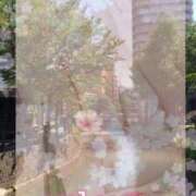 ヒメ日記 2026/04/10 19:12 投稿 舞川　りお ソープランド蜜 人妻・美熟女専門店