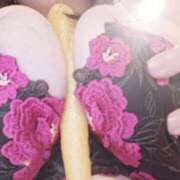 ヒメ日記 2025/03/20 07:03 投稿 井上ももか ニューヨーカー