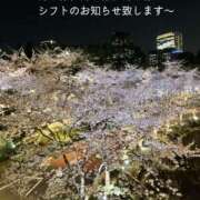 ヒメ日記 2025/04/08 17:09 投稿 赤坂ナース 病院