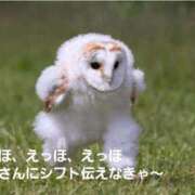 ヒメ日記 2025/04/25 10:16 投稿 赤坂ナース 病院