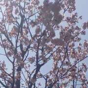 ヒメ日記 2025/04/28 10:06 投稿 赤坂ナース 病院